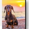 Dachshund on The Beach Sunset Paint By Number