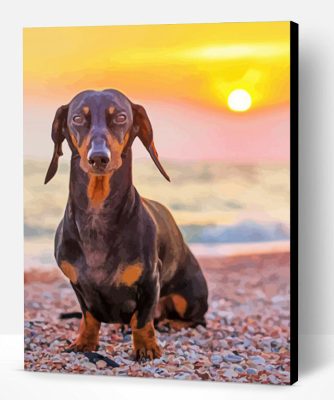 Dachshund on The Beach Sunset Paint By Number