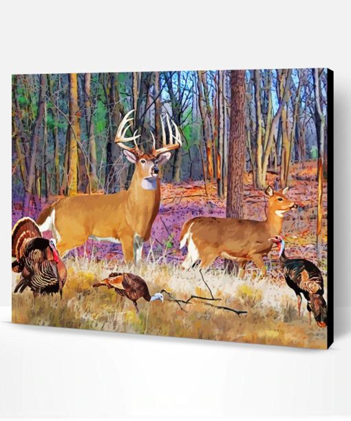 Deer And Turkey Animals Paint By Number