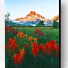 Fields Of Indian Paintbrush Paint By Number
