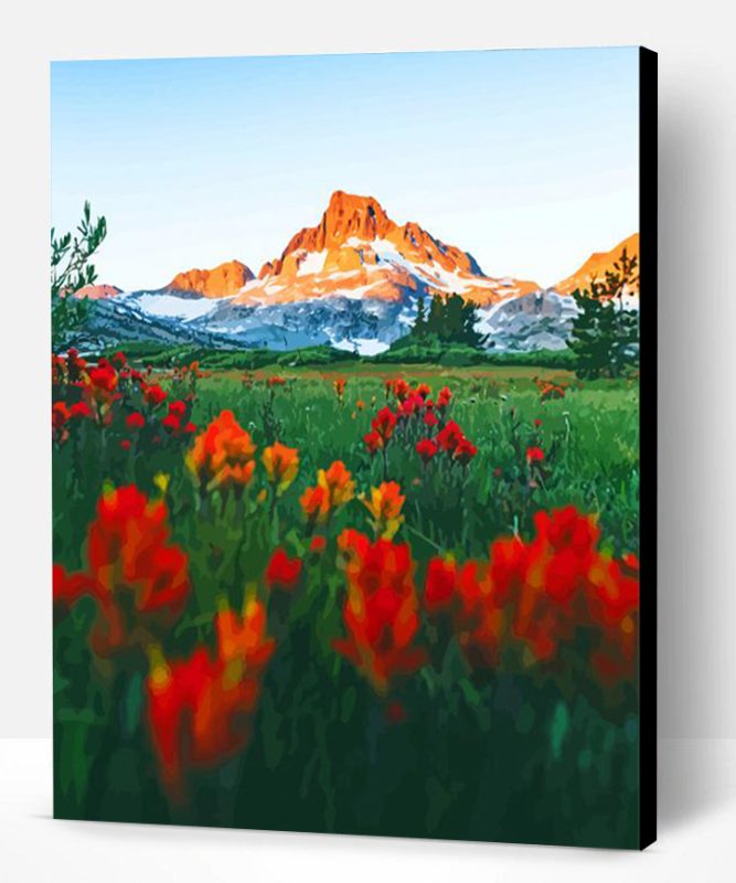 Fields Of Indian Paintbrush Paint By Number