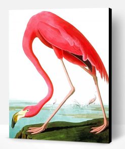Flamingo John James Paint By Numbers