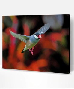 Flying Java Sparrow Paint By Number