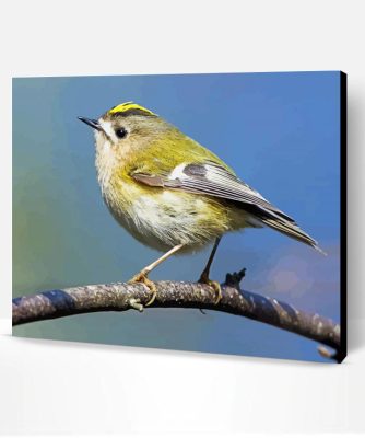 Goldcrest Bird Paint By Number