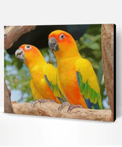 Golden Conures Paint By Number