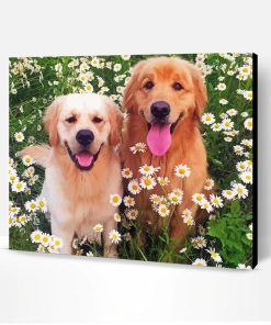 Golden Retriever In Daisies Field Paint By Number