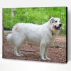 Great Pyrenees Dog Paint By Number