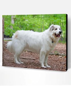 Great Pyrenees Dog Paint By Number