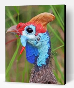 Guinea Fowl Head Paint By Numbers