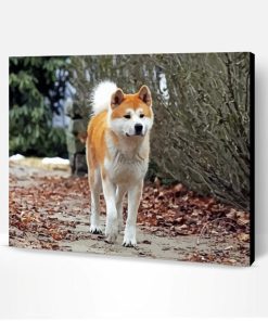 Hachi The Dog Paint By Number