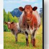 Handsome Shorthorn Cow And Calf Paint By Number