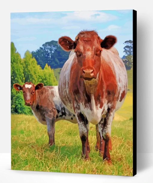 Handsome Shorthorn Cow And Calf Paint By Number