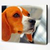Jack Beagle Dog Paint By Number
