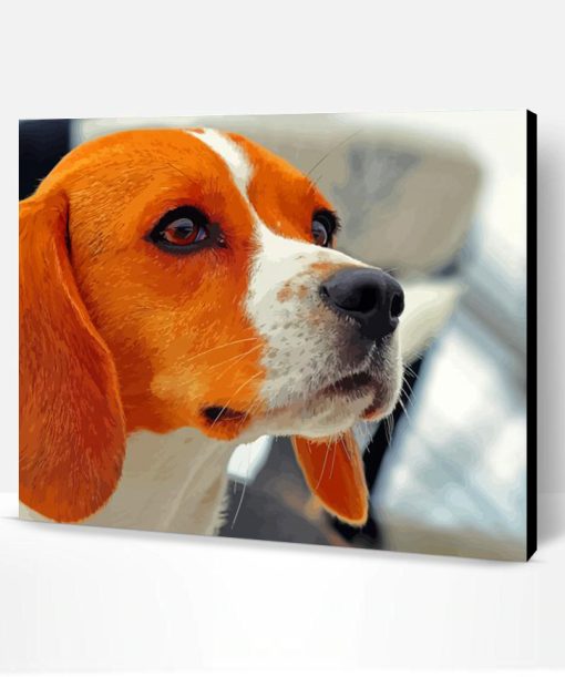 Jack Beagle Dog Paint By Number