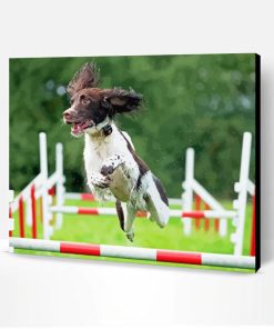 Jumping Dog Agility Paint By Numbers