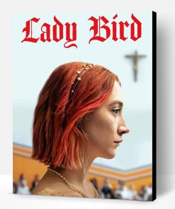 Lady Bird Movie Paint By Numbers
