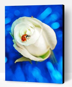 Ladybug On White Rose Paint By Number