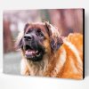 Leonberger Dog Paint By Numbe