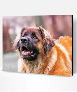 Leonberger Dog Paint By Numbe