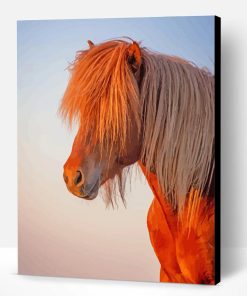 Light Brown Horse Sunset Paint By Number