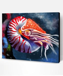 Nautilus Animal Art Paint By Numbers