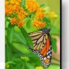 Orange Flowers And Butterfly Paint By Numbers