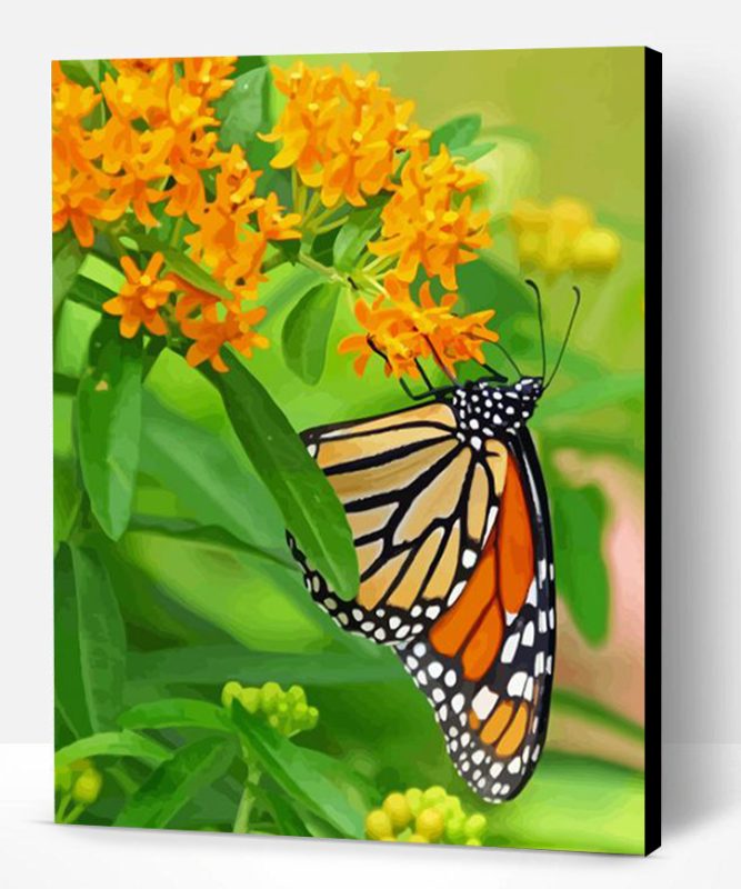 Orange Flowers And Butterfly Paint By Numbers