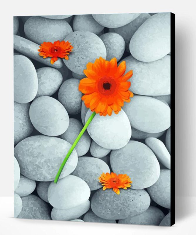 Orange Gray Flowers Paint By Number