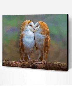 Owls Love Paint By Number