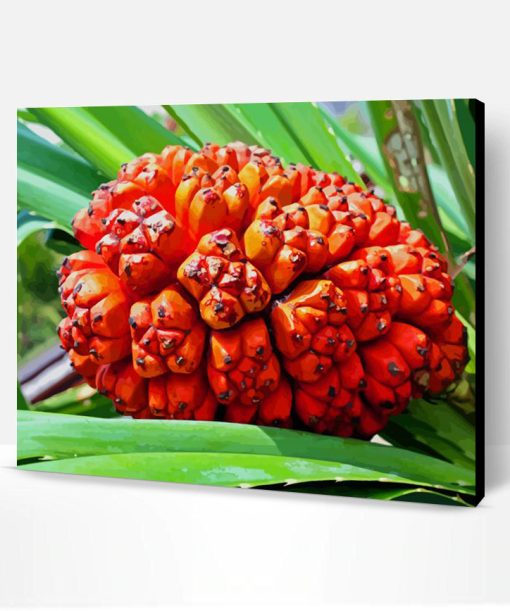 Pandanus Fruit Paint By Numbers