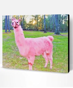 Pink Llama Paint By Number