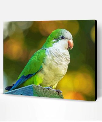 Quaker Parrot Bird Paint By Number