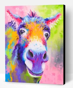 Rainbow Donkey Art Paint By Number
