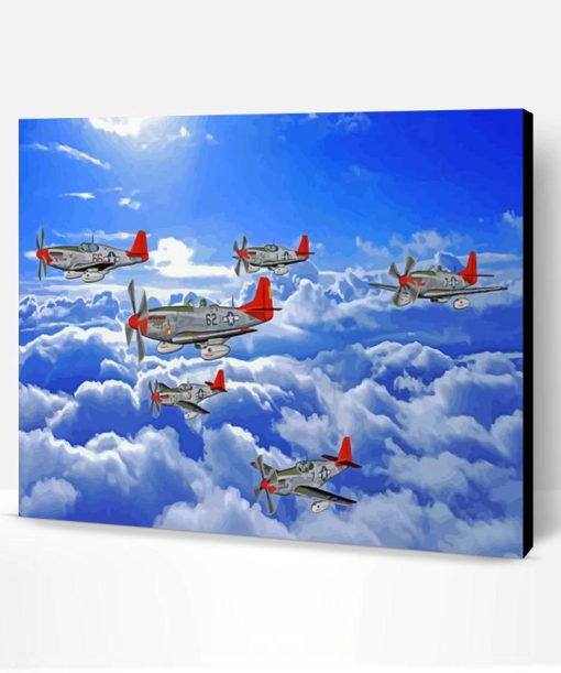 Red Tailed Planes Paint By Number