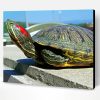 Red Eared Slider Paint By Number