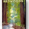 Redwoods Sonoma Poster Paint By Number