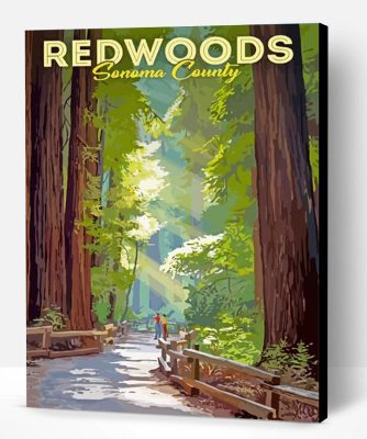 Redwoods Sonoma Poster Paint By Number