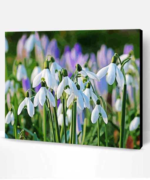 Snow Drops Plants Paint By Number