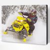 Snowmobile Rider Paint By Numbers