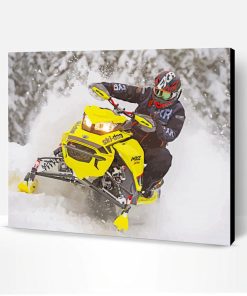Snowmobile Rider Paint By Numbers