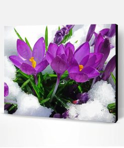 Spring Flower in Snow Paint By Numbers