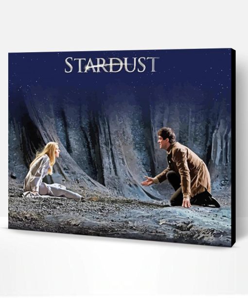 Stardust Fantasy Movie Poster Paint By Number