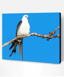 Swallow Tailed Kite on Stick Paint By Numbers