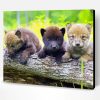 Three Wolf Pups Paint By Numbers