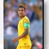 Tim Cahill Paint By Numbers
