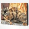 Tortoise Shell Cat Paint By Number