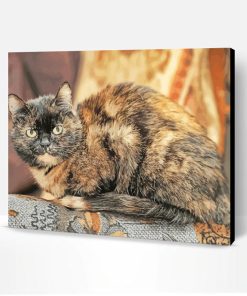 Tortoise Shell Cat Paint By Number