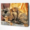 Tortoiseshell Cat Paint By Number
