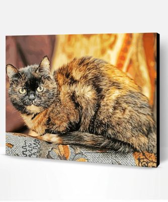 Tortoiseshell Cat Paint By Number