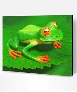Tree Frogs Paint By Number
